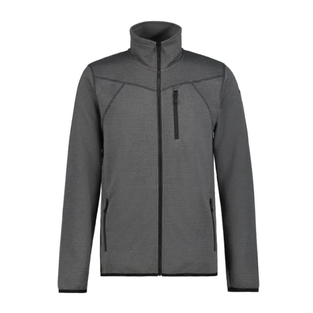 Fleece Icepeak Berthold Gris Male S