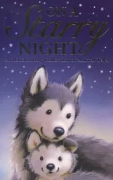 On a Starry Night by Alison Edgson Paperback