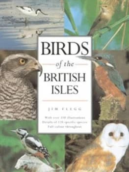 Birds of the British Isles by Jim Flegg Paperback