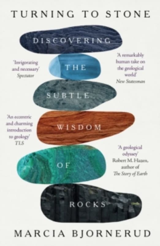 Turning to Stone Paperback / softback