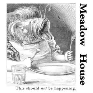 This Should Not Be Happening by Meadow House Vinyl Album
