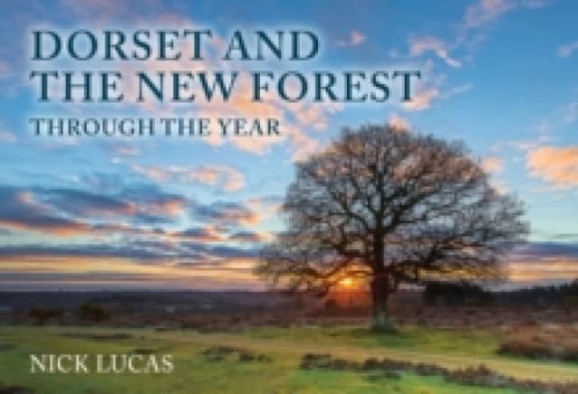 Dorset and the New Forest Through the Year Paperback / softback