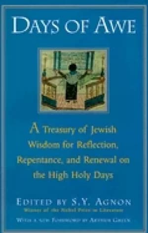 days of awe a treasury of jewish wisdom for reflection repentance and renew