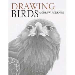 Drawing Birds Paperback / softback 2018