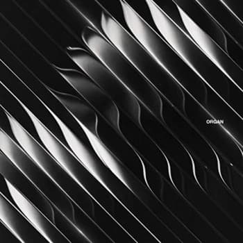 Dimension - Organ Vinyl