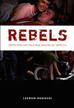 Rebels by Leerom Medovoi Book