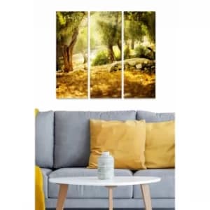 MDF84462340 Multicolor Decorative MDF Painting (3 Pieces)