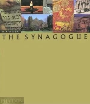 The Synagogue by Harold Meek Hardback