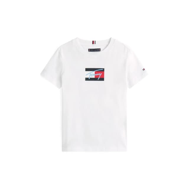 Tommy Hilfiger Kids Script T-Shirt White YBR male 16Y
