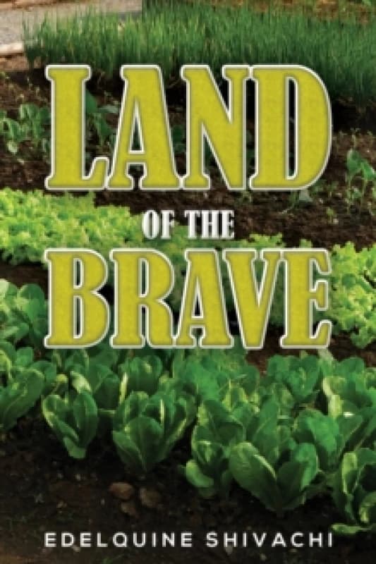 Land of the Brave Paperback / softback