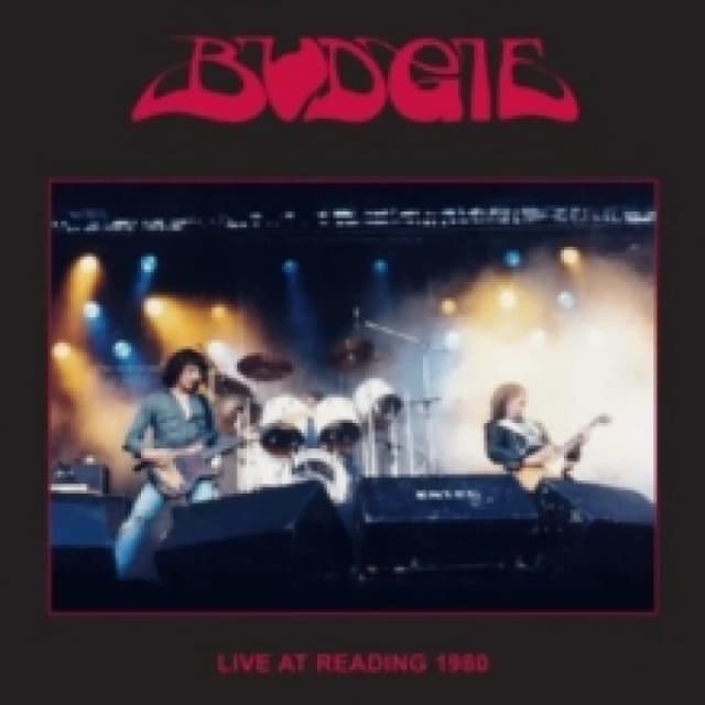 Live at Reading 1980 Vinyl