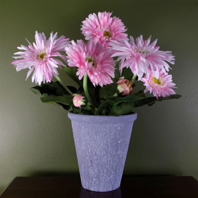 Leaf Pink Daisy Flowers Plant Flowering Plant Artificial Botanik Pink