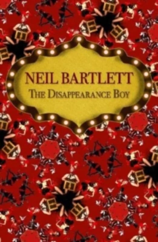The Disappearance Boy Paperback / softback