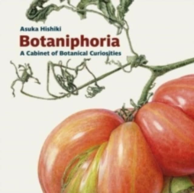 Botaniphoria: A Cabinet of Botanical Curiosities Paperback / softback