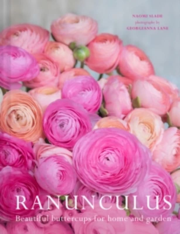 Ranunculus : Beautiful Buttercups for Home and Garden Hardback