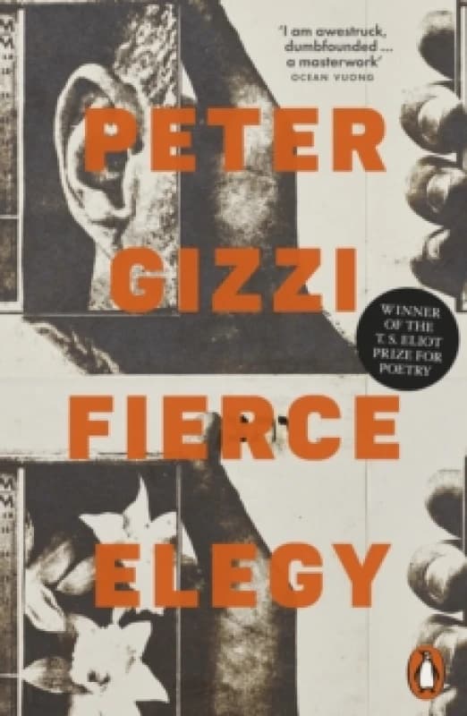 Fierce Elegy Paperback / softback