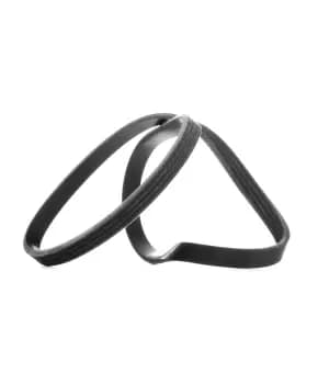 RIDEX V-ribbed belt 305P0018 Serpentine belt,Auxiliary belt HYUNDAI,HONDA,MITSUBISHI,GETZ (TB),ACCENT II (LC),ACCENT II Stufenheck (LC),ACCENT I (X-3)