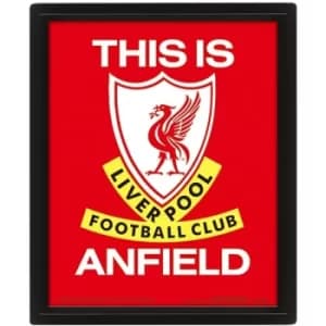 Liverpool FC Framed 3D Picture