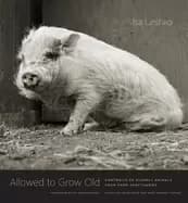allowed to grow old portraits of elderly animals from farm sanctuaries