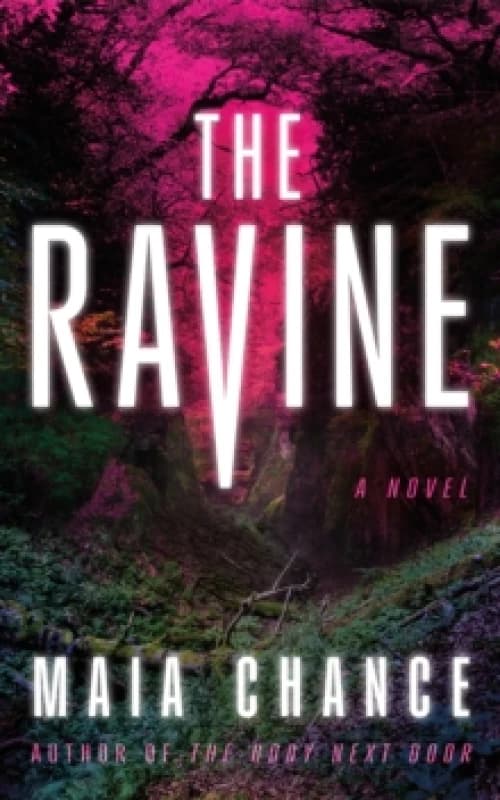 The Ravine : A Novel Paperback / softback