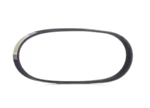 RIDEX V-ribbed belt FIAT,ALFA ROMEO 305P0498 55193361,55193361 Serpentine belt,Auxiliary belt,Poly V-belt,Ribbed belt,Multi V-belt,Poly belt