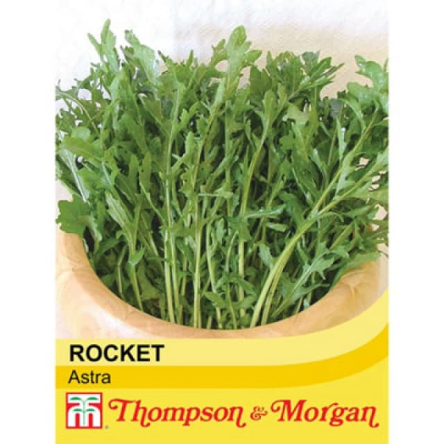 Thompson & Morgan Salad Leaves Rocket Astra 1 Seed Packet (400 Seeds)