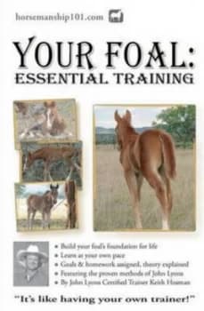 Your Foal by Keith Hosman