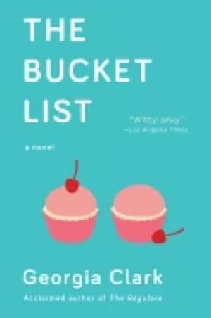 bucket list a novel
