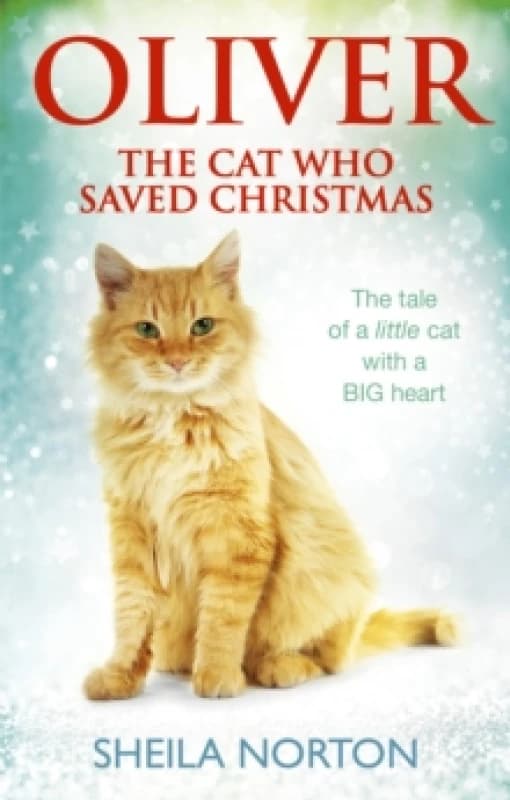 Oliver The Cat Who Saved Christmas Paperback / softback