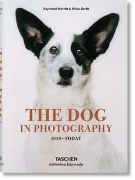 The dog in photography 1839-today = Der hund in der fotografie = Le chien dans la photographie by Raymond W Merritt