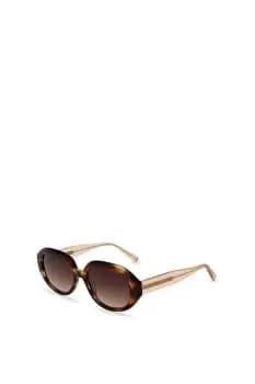 Ted Baker Penny Sunglasses Female Brown Horn