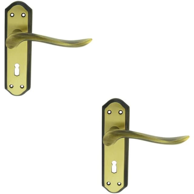 Loops 2x PAIR Curved Handle on Sculpted Lock Backplate 180 x 48mm Florentine Bronze Multi