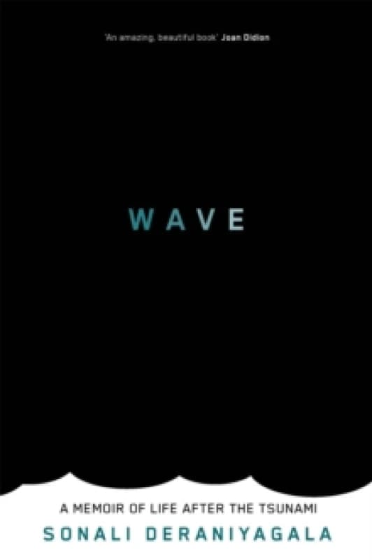 Wave : A Memoir of Life After the Tsunami Paperback / softback