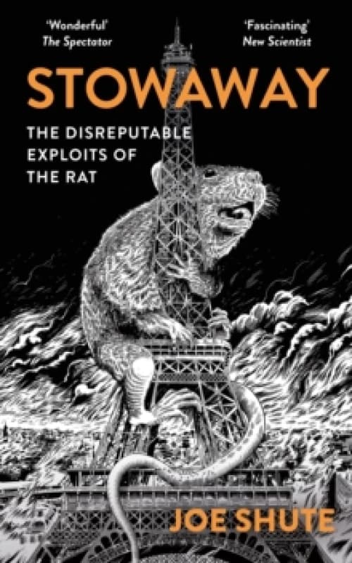 Stowaway : The Disreputable Exploits of the Rat A NEW SCIENTIST NON-FICTION BOOK OF THE YEAR Paperback / softback