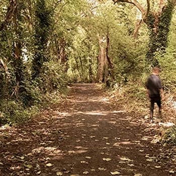 Paddy Mulcahy - How To Disappear Vinyl