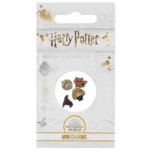 Harry Potter Hermoine Mini Charm Set