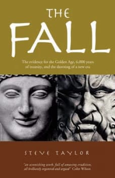 The Fall by Steve Taylor Paperback