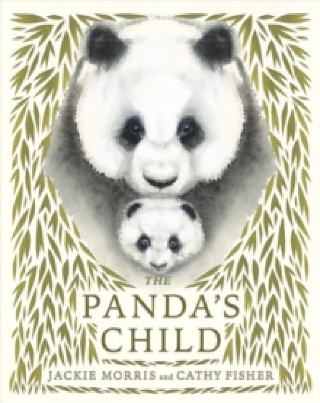 The Panda's Child Hardback