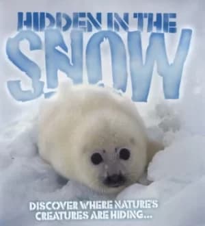 Hidden in the snow by Barbara Taylor