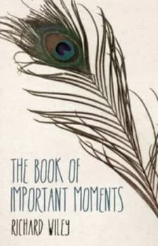 The Book of Important Moments by Richard Wiley Paperback