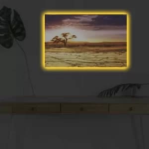 4570DHDACT-052 Multicolor Decorative LED Lighted Canvas Painting