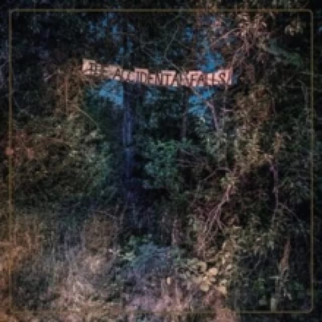 The accidental falls CD / Album