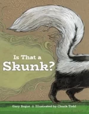 is that a skunk
