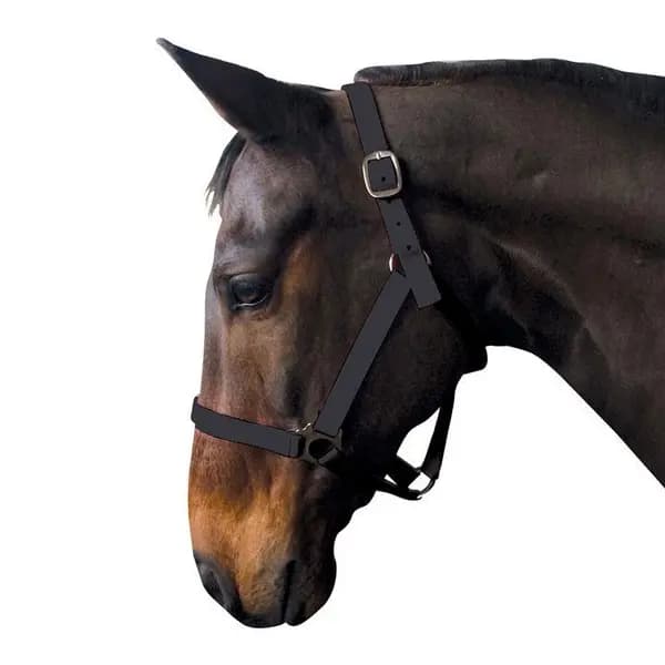 Requisite Economy Headcollar - Black Pony