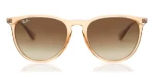Ray-Ban Sunglasses RB4171 Erika 651413