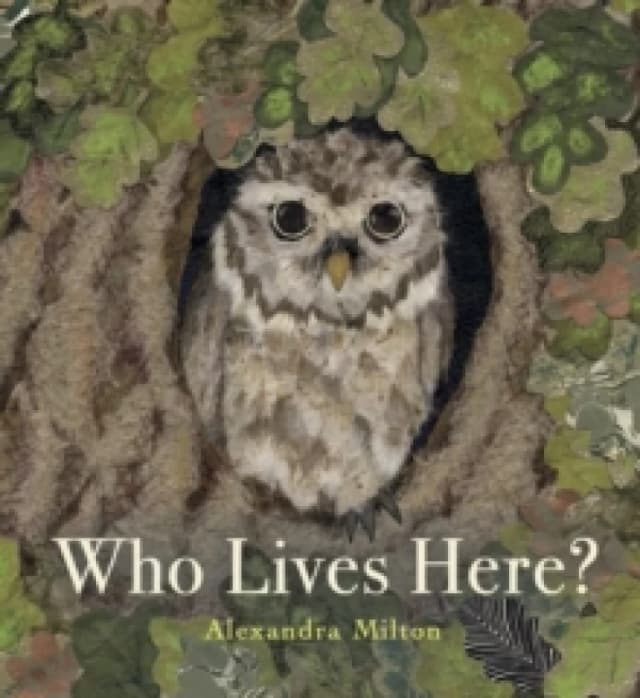 Who Lives Here? Paperback / softback