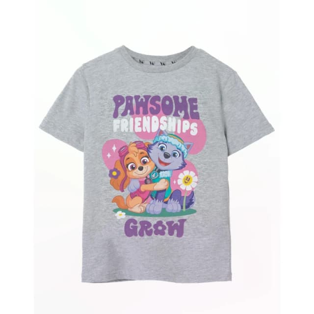 Paw Patrol Short Sleeved T-Shirt Grey unisex