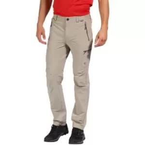 Regatta Mens Highton Water Repellent Walking Trousers 33R - Waist 33' (84cm), Inside Leg 32'