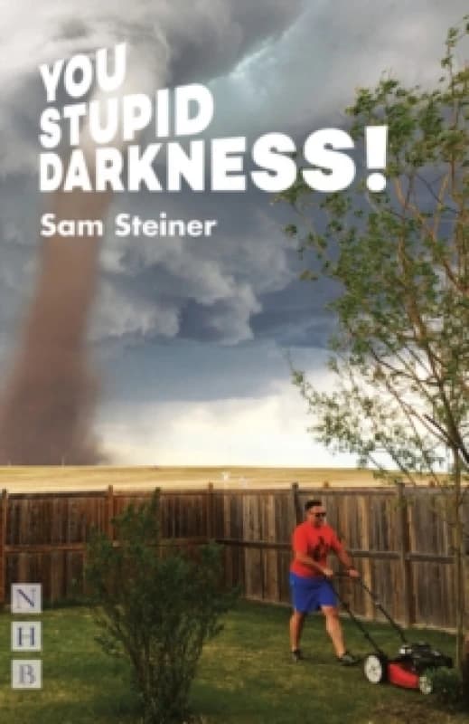 You Stupid Darkness! Paperback / softback
