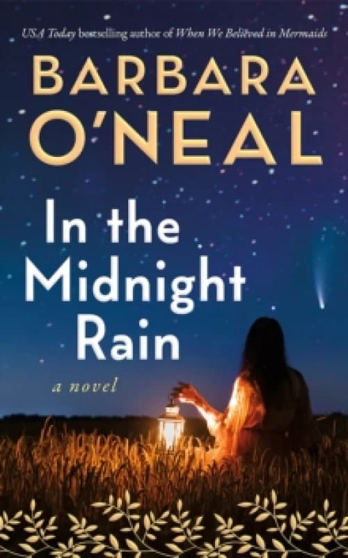 In the Midnight Rain : A Novel Paperback / softback